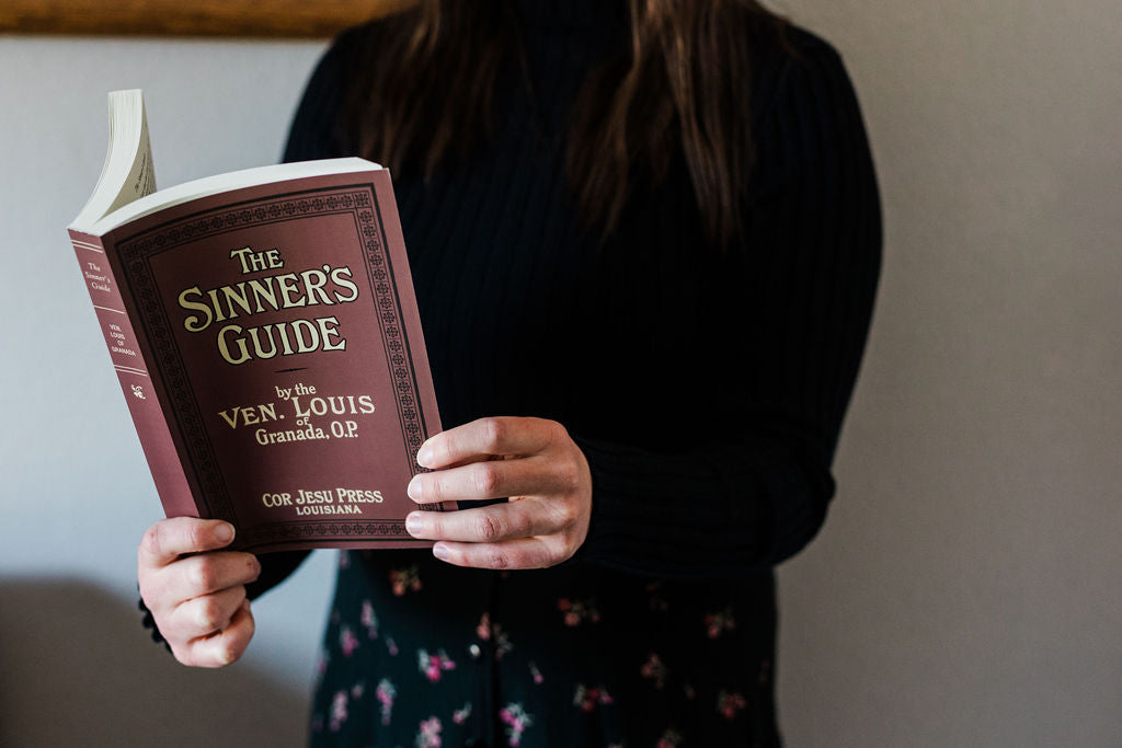 The Sinner's Guide