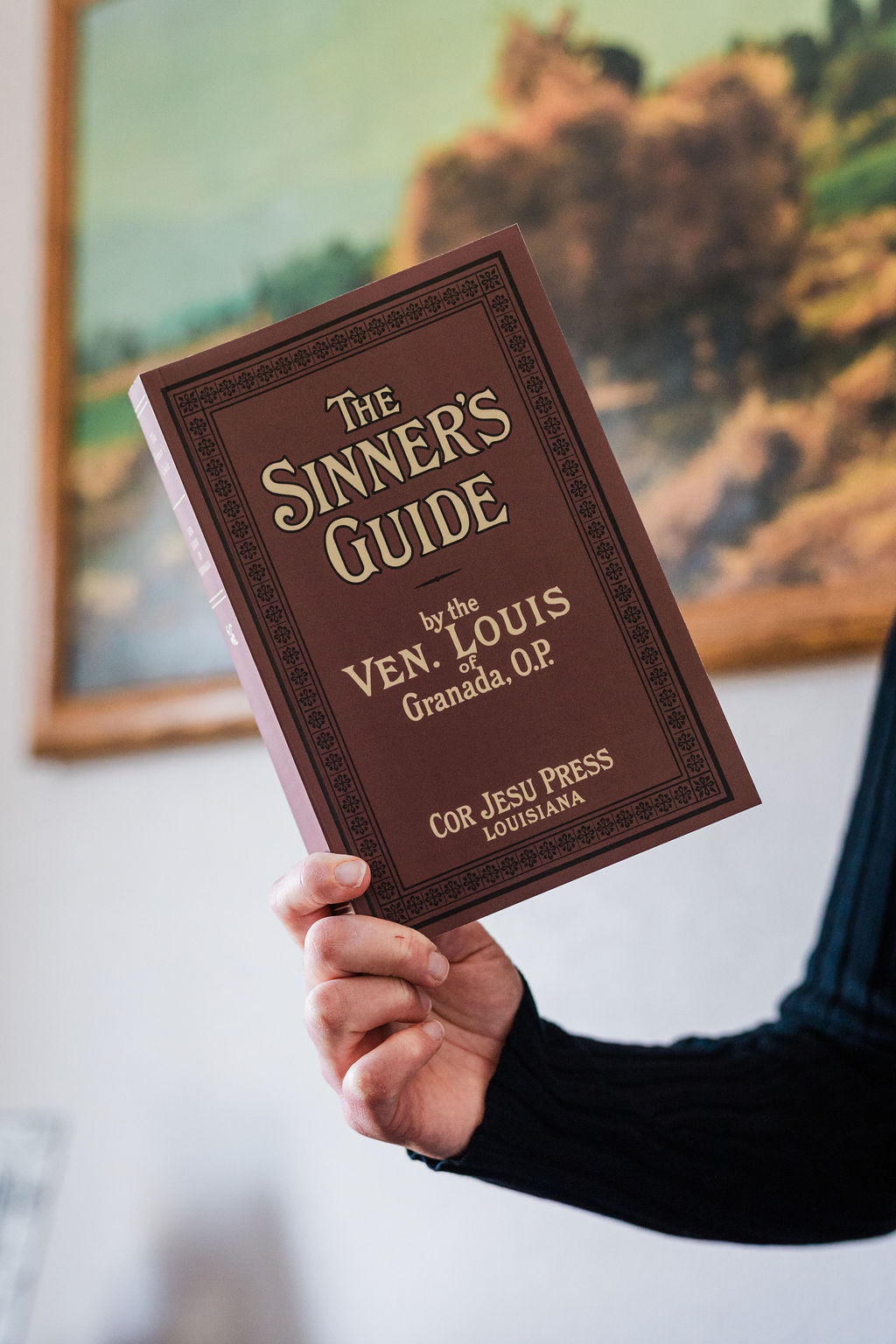The Sinner's Guide