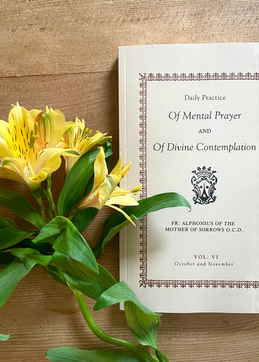 Daily Practice of Mental Prayer and of Divine Contemplation Volume 6 (October + November)