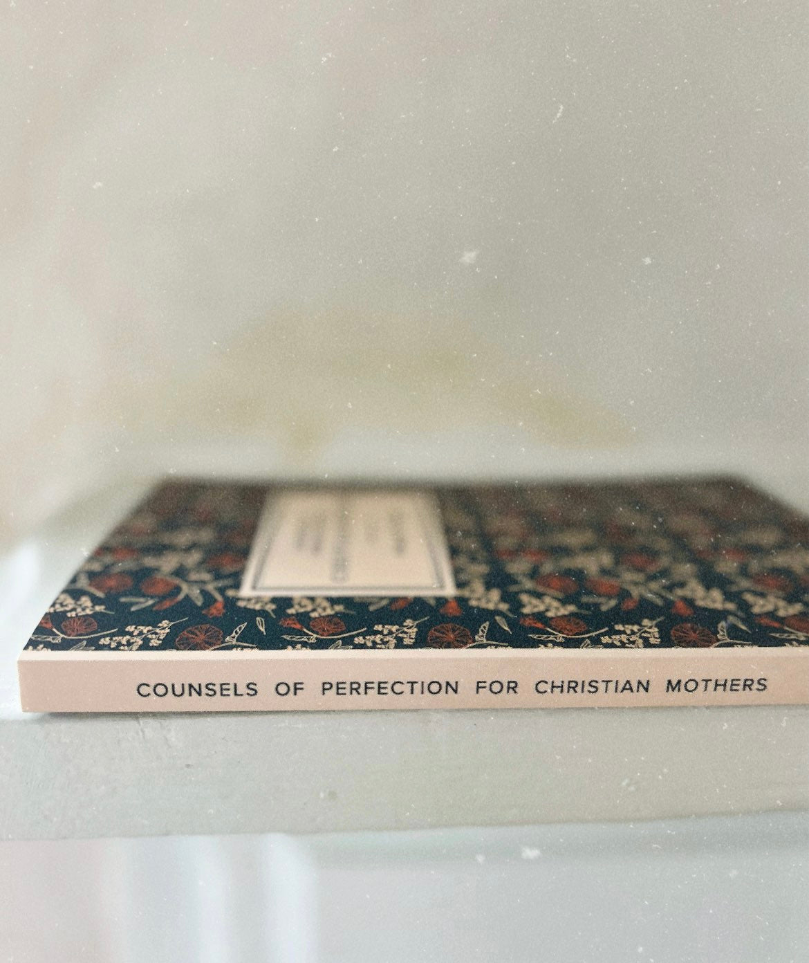 Counsels of Perfection for Christian Mothers